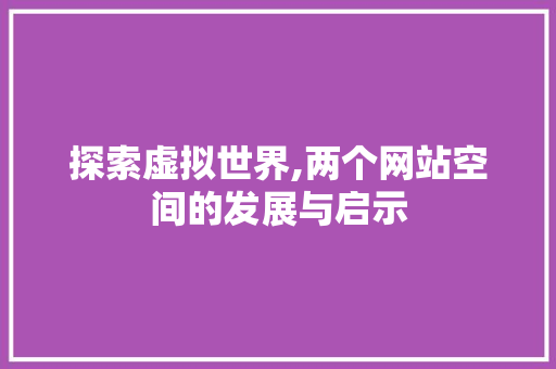 探索虚拟世界,两个网站空间的发展与启示 探索虚拟世界,两个网站空间的发展与启示 神马SEO