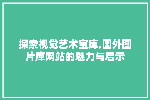 探索视觉艺术宝库,国外图片库网站的魅力与启示 探索视觉艺术宝库,国外图片库网站的魅力与启示 搜狗SEO