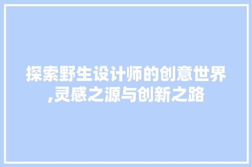 探索野生设计师的创意世界,灵感之源与创新之路 探索野生设计师的创意世界,灵感之源与创新之路 SEO关键词
