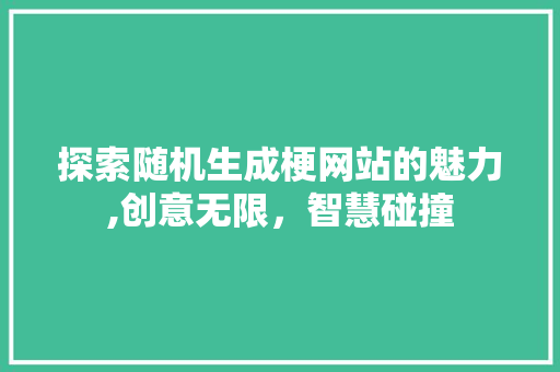 探索随机生成梗网站的魅力,创意无限，智慧碰撞 探索随机生成梗网站的魅力,创意无限，智慧碰撞 神马SEO