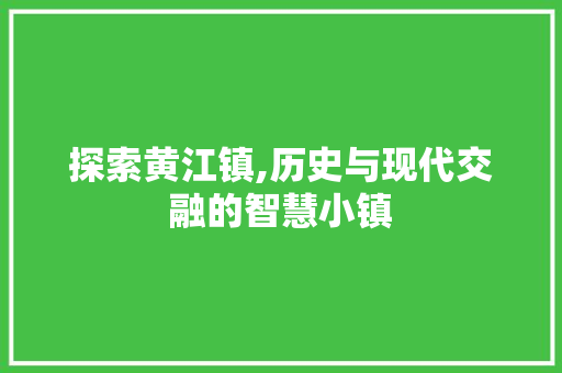 探索黄江镇,历史与现代交融的智慧小镇 探索黄江镇,历史与现代交融的智慧小镇 搜狗SEO