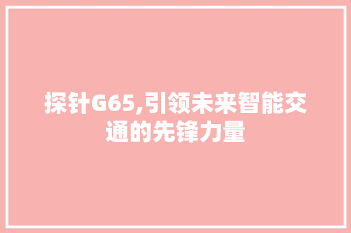 探针G65,引领未来智能交通的先锋力量 探针G65,引领未来智能交通的先锋力量 必应SEO