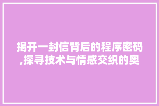 揭开一封信背后的程序密码,探寻技术与情感交织的奥秘