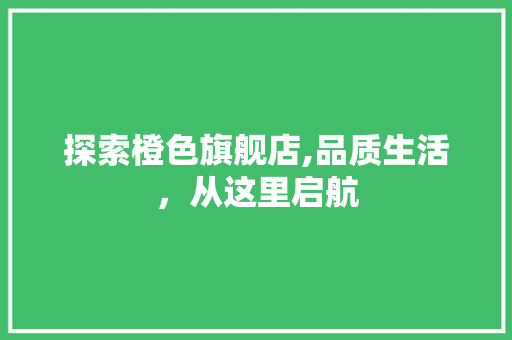 探索橙色旗舰店,品质生活，从这里启航 探索橙色旗舰店,品质生活，从这里启航 SEO关键词