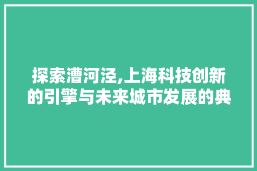 探索漕河泾,上海科技创新的引擎与未来城市发展的典范 探索漕河泾,上海科技创新的引擎与未来城市发展的典范 百度SEO