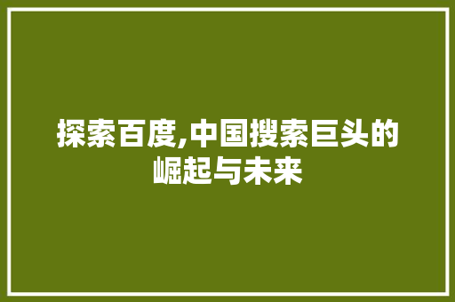 探索百度,中国搜索巨头的崛起与未来 探索百度,中国搜索巨头的崛起与未来 必应SEO