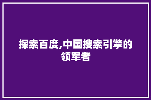 探索百度,中国搜索引擎的领军者 探索百度,中国搜索引擎的领军者 百度SEO