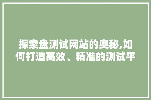 探索盘测试网站的奥秘,如何打造高效、精准的测试平台 探索盘测试网站的奥秘,如何打造高效、精准的测试平台 神马SEO