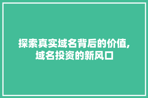 探索真实域名背后的价值,域名投资的新风口 探索真实域名背后的价值,域名投资的新风口 神马SEO