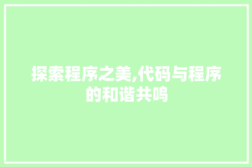 探索程序之美,代码与程序的和谐共鸣