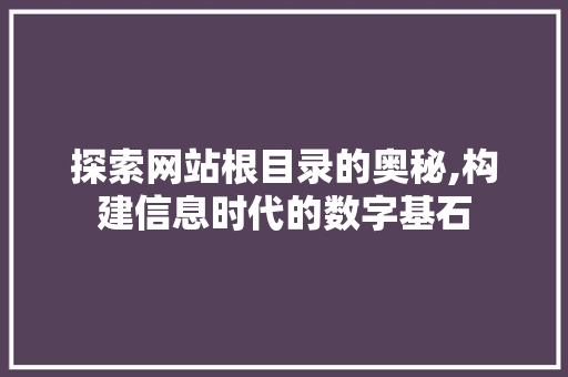 探索网站根目录的奥秘,构建信息时代的数字基石