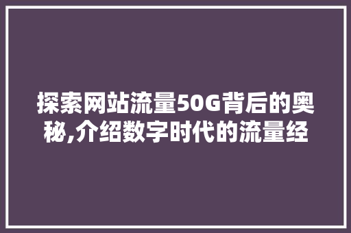 探索网站流量50G背后的奥秘,介绍数字时代的流量经济 探索网站流量50G背后的奥秘,介绍数字时代的流量经济 神马SEO