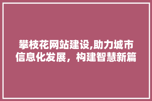 攀枝花网站建设,助力城市信息化发展，构建智慧新篇章 攀枝花网站建设,助力城市信息化发展，构建智慧新篇章 神马SEO