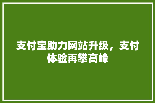 支付宝助力网站升级，支付体验再攀高峰 支付宝助力网站升级，支付体验再攀高峰 搜狗SEO