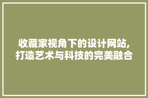 收藏家视角下的设计网站,打造艺术与科技的完美融合