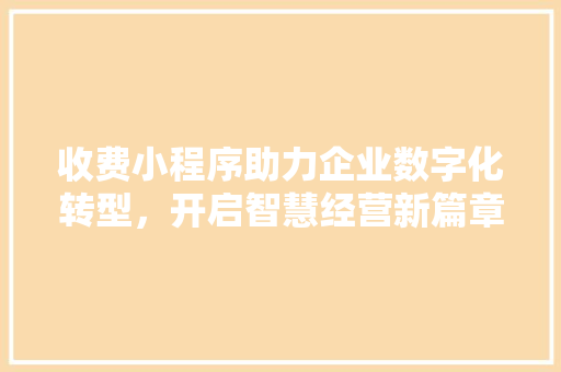 收费小程序助力企业数字化转型，开启智慧经营新篇章 收费小程序助力企业数字化转型，开启智慧经营新篇章 必应SEO
