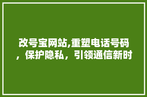 改号宝网站,重塑电话号码，保护隐私，引领通信新时代 改号宝网站,重塑电话号码，保护隐私，引领通信新时代 必应SEO