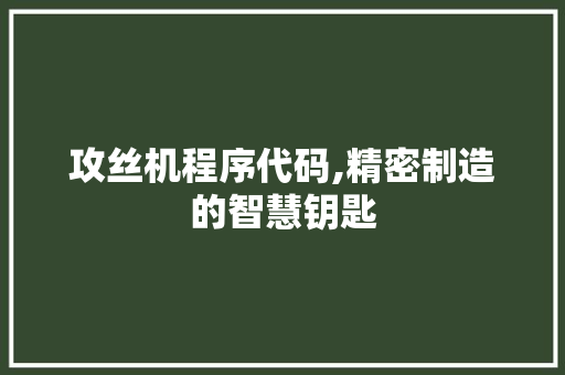 攻丝机程序代码,精密制造的智慧钥匙 攻丝机程序代码,精密制造的智慧钥匙 百度SEO