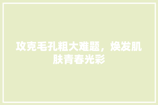 攻克毛孔粗大难题，焕发肌肤青春光彩 攻克毛孔粗大难题，焕发肌肤青春光彩 搜狗SEO