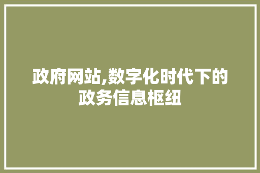 政府网站,数字化时代下的政务信息枢纽 政府网站,数字化时代下的政务信息枢纽 神马SEO
