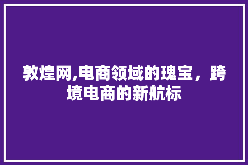 敦煌网,电商领域的瑰宝，跨境电商的新航标 敦煌网,电商领域的瑰宝，跨境电商的新航标 神马SEO