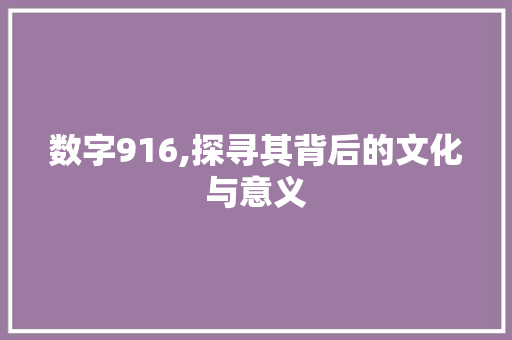 数字916,探寻其背后的文化与意义 数字916,探寻其背后的文化与意义 神马SEO