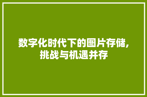数字化时代下的图片存储,挑战与机遇并存 数字化时代下的图片存储,挑战与机遇并存 百度SEO