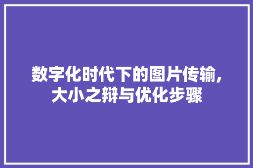 数字化时代下的图片传输,大小之辩与优化步骤 数字化时代下的图片传输,大小之辩与优化步骤 必应SEO