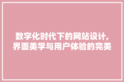 数字化时代下的网站设计,界面美学与用户体验的完美融合