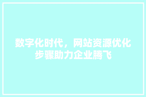 数字化时代，网站资源优化步骤助力企业腾飞 数字化时代，网站资源优化步骤助力企业腾飞 必应SEO