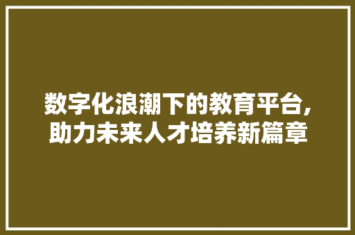 数字化浪潮下的教育平台,助力未来人才培养新篇章 数字化浪潮下的教育平台,助力未来人才培养新篇章 网站建设公司