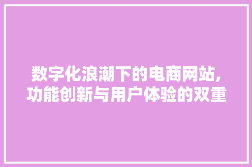 数字化浪潮下的电商网站,功能创新与用户体验的双重优化