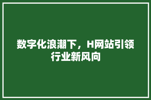 数字化浪潮下，H网站引领行业新风向