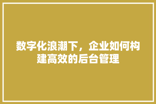 数字化浪潮下，企业如何构建高效的后台管理 数字化浪潮下，企业如何构建高效的后台管理 必应SEO