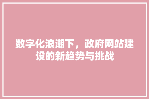 数字化浪潮下，政府网站建设的新趋势与挑战 数字化浪潮下，政府网站建设的新趋势与挑战 SEO关键词