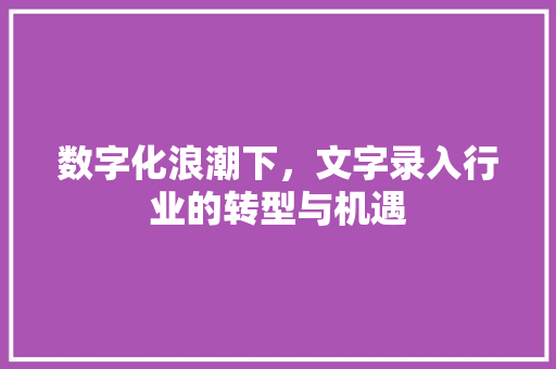 数字化浪潮下，文字录入行业的转型与机遇 数字化浪潮下，文字录入行业的转型与机遇 百度SEO