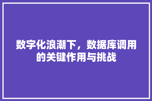 数字化浪潮下，数据库调用的关键作用与挑战