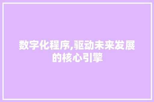 数字化程序,驱动未来发展的核心引擎 数字化程序,驱动未来发展的核心引擎 网站建设公司