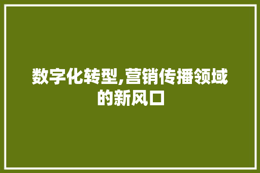 数字化转型,营销传播领域的新风口 数字化转型,营销传播领域的新风口 SEO关键词