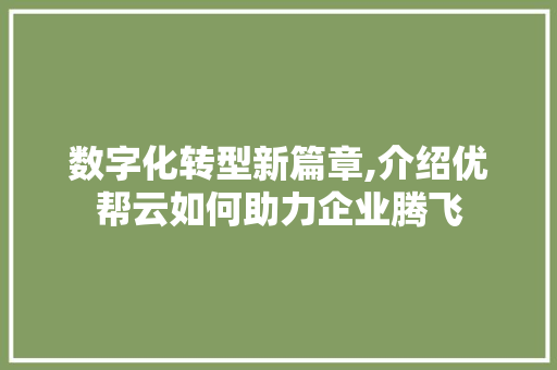 数字化转型新篇章,介绍优帮云如何助力企业腾飞 数字化转型新篇章,介绍优帮云如何助力企业腾飞 网站建设公司
