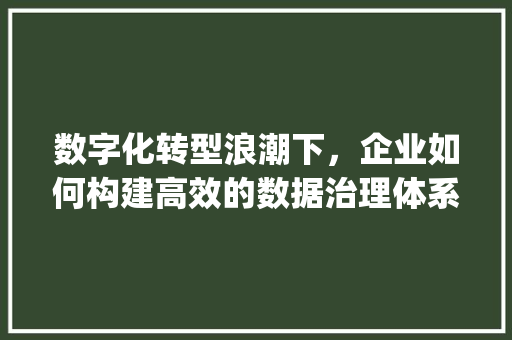 数字化转型浪潮下，企业如何构建高效的数据治理体系_以H网站模板源码为例 数字化转型浪潮下，企业如何构建高效的数据治理体系_以H网站模板源码为例 百度SEO