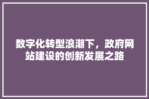 数字化转型浪潮下，政府网站建设的创新发展之路 数字化转型浪潮下，政府网站建设的创新发展之路 百度SEO