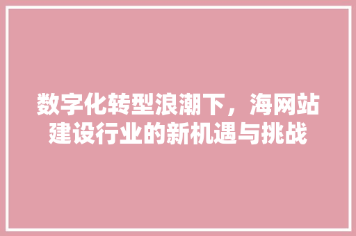 数字化转型浪潮下，海网站建设行业的新机遇与挑战 数字化转型浪潮下，海网站建设行业的新机遇与挑战 SEO关键词