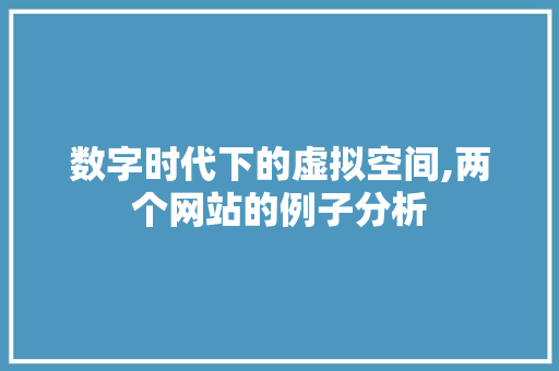 数字时代下的虚拟空间,两个网站的例子分析 数字时代下的虚拟空间,两个网站的例子分析 百度SEO