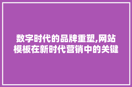 数字时代的品牌重塑,网站模板在新时代营销中的关键作用 数字时代的品牌重塑,网站模板在新时代营销中的关键作用 SEO关键词