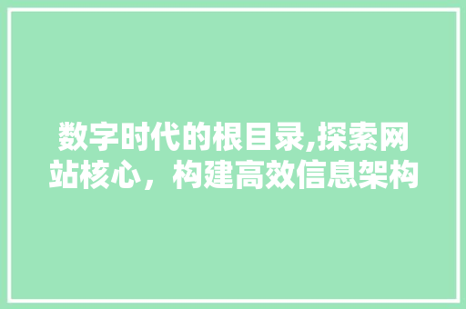 数字时代的根目录,探索网站核心，构建高效信息架构 数字时代的根目录,探索网站核心，构建高效信息架构 百度SEO