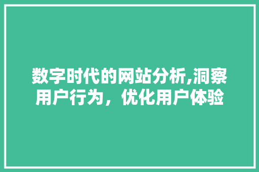 数字时代的网站分析,洞察用户行为，优化用户体验 数字时代的网站分析,洞察用户行为，优化用户体验 搜狗SEO