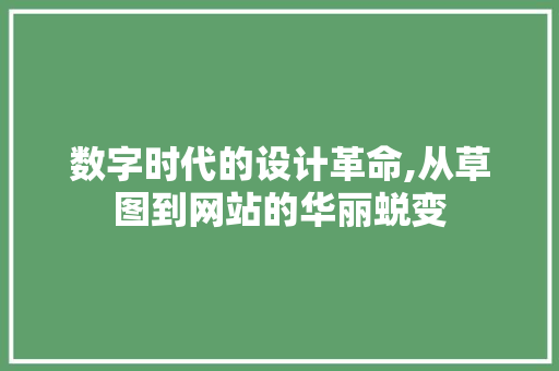数字时代的设计革命,从草图到网站的华丽蜕变 数字时代的设计革命,从草图到网站的华丽蜕变 SEO关键词