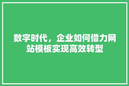 数字时代，企业如何借力网站模板实现高效转型 数字时代，企业如何借力网站模板实现高效转型 百度SEO