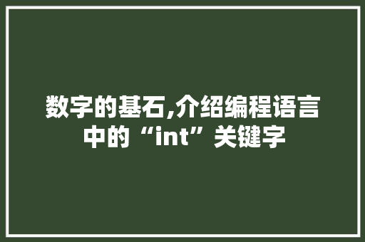 数字的基石,介绍编程语言中的“int”关键字 数字的基石,介绍编程语言中的“int”关键字 必应SEO